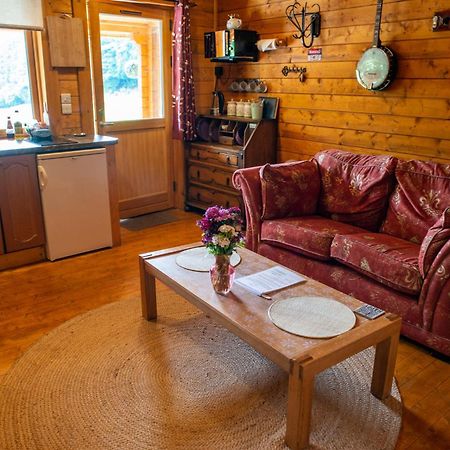 Blossom Cabin - Little Log Cabin In Wales Newtown  Dış mekan fotoğraf