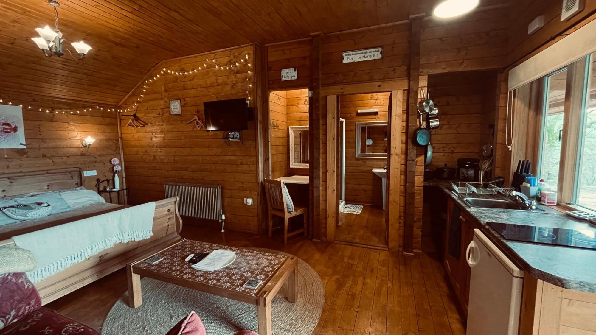 Blossom Cabin - Little Log Cabin In Wales Newtown  Dış mekan fotoğraf
