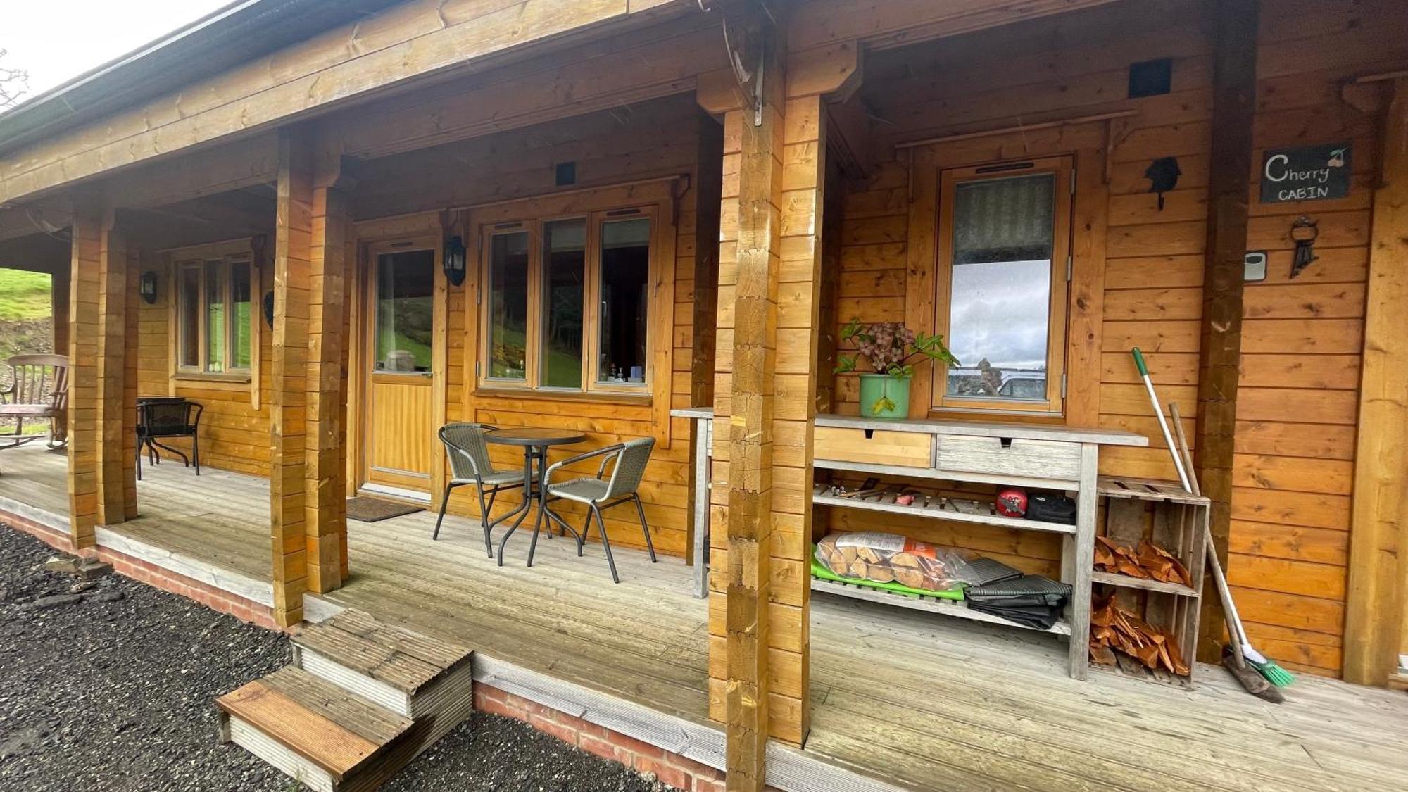 Blossom Cabin - Little Log Cabin In Wales Newtown  Dış mekan fotoğraf