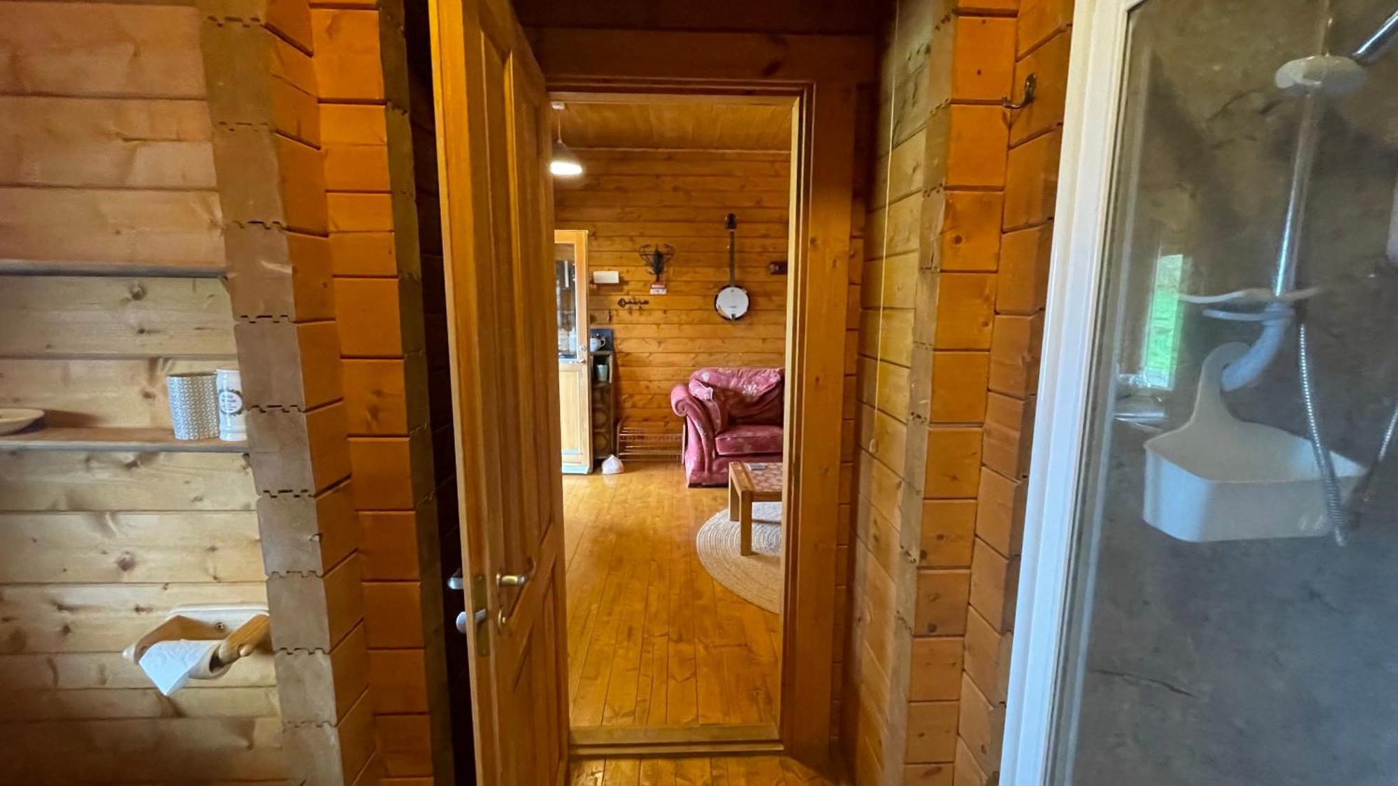 Blossom Cabin - Little Log Cabin In Wales Newtown  Dış mekan fotoğraf