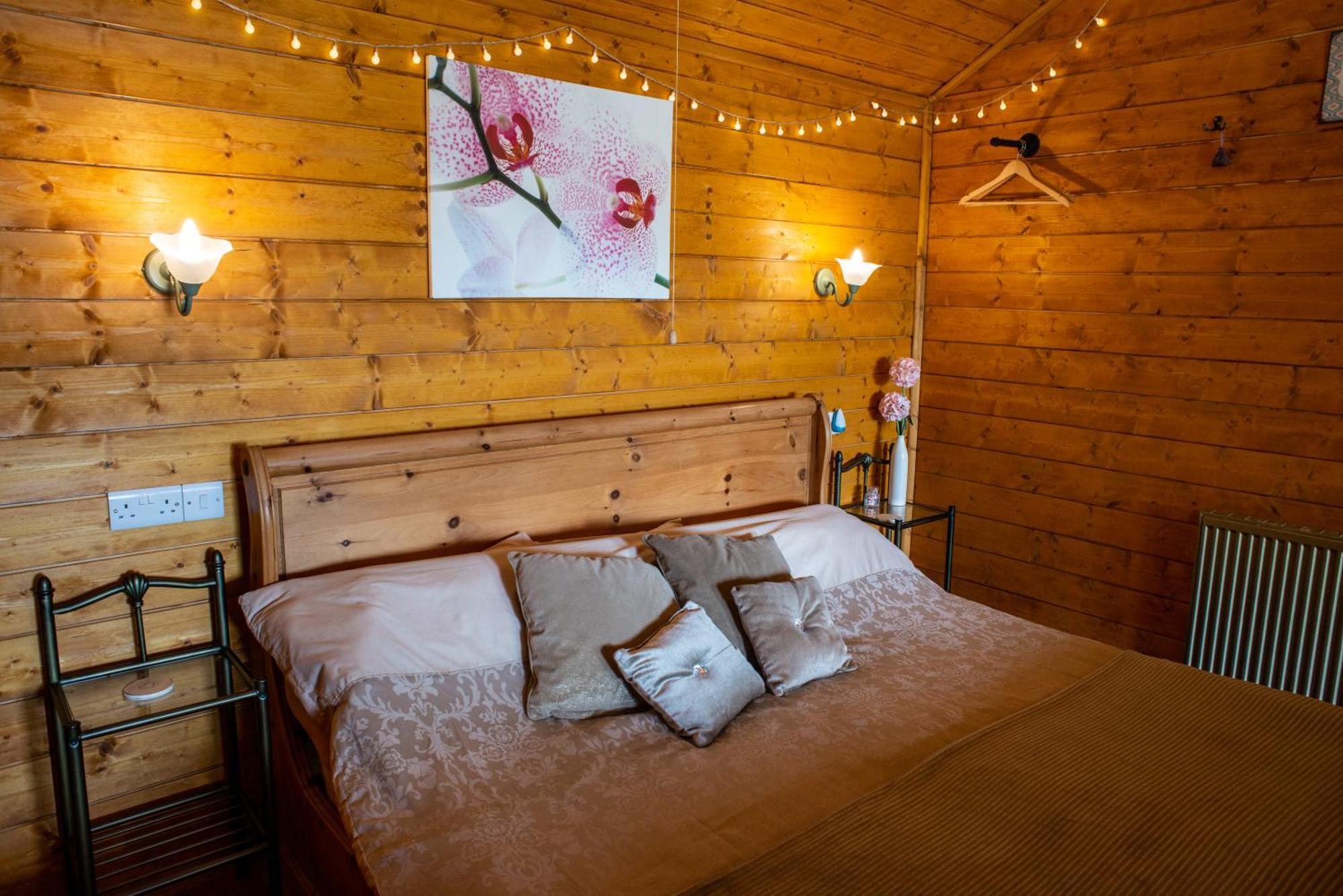 Blossom Cabin - Little Log Cabin In Wales Newtown  Dış mekan fotoğraf